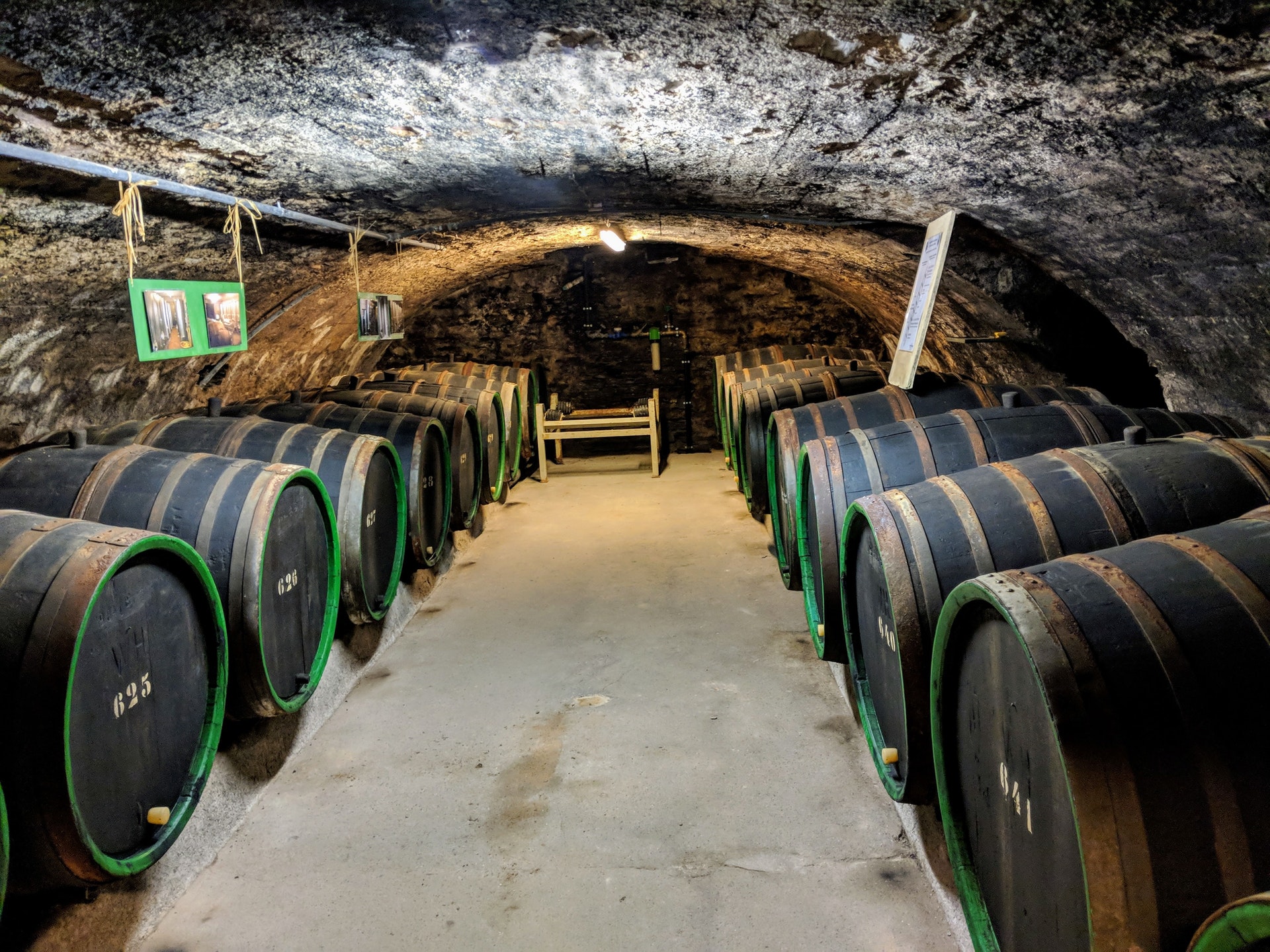 Wine cellar